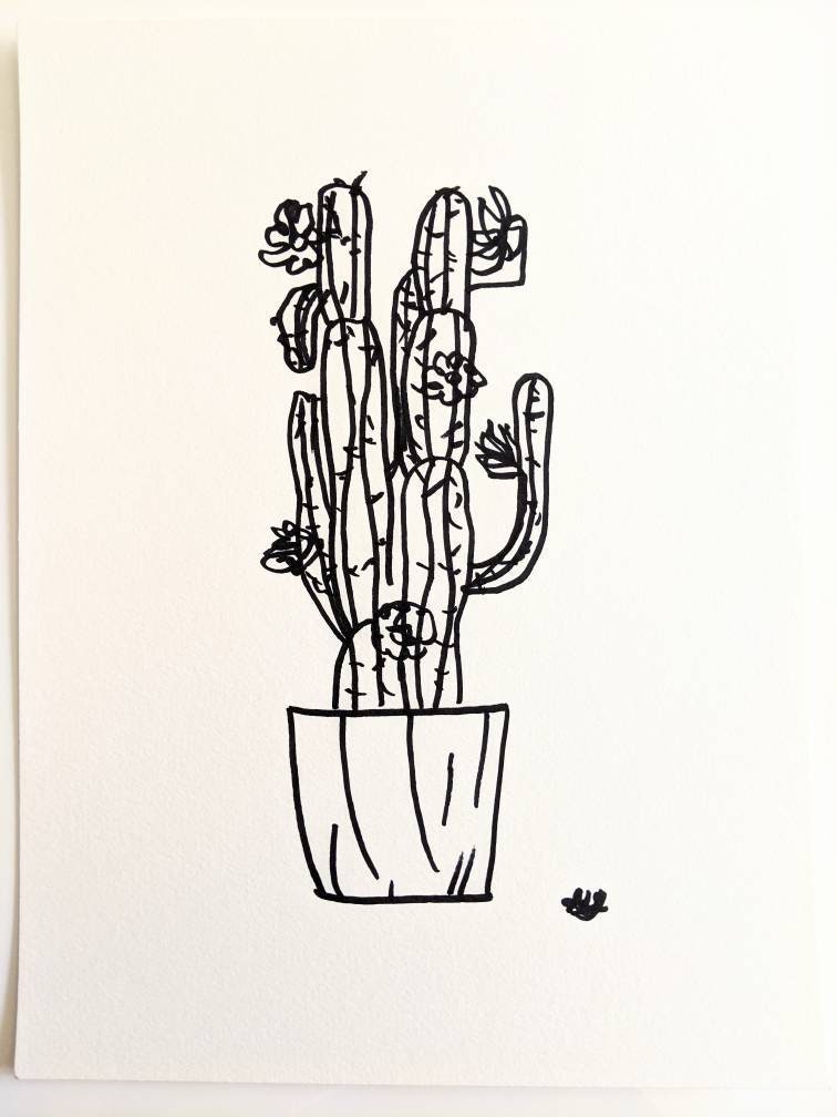 Black Marker Drawing of Cactus Plant on Perle White Paper Art - Etsy Canada