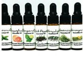 Essential Oils Pure Therapeutic Grade 5 ML Dropper Bottles Pure Essential Oils Diffuser Aromatherapy NaturalzCo