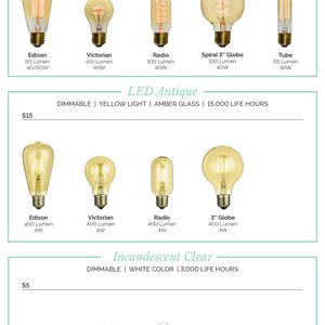 May include: A comparison chart of different light bulbs, showing the price, type, lumen output, and wattage. The bulbs are categorized as Antique, LED Antique, and Incandescent Clear. The chart includes Edison, Victorian, Radio, 3" Globe, and Tube styles.