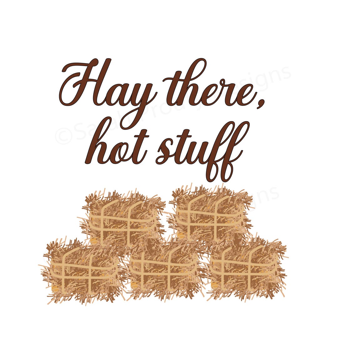 Hay There Fall Hay There Hot Stuff SVG, Funny Fall Quote, Farm Cricut File, Rustic ...