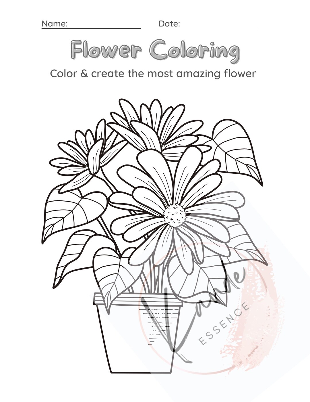 Spring Coloring/activity Pages - Etsy