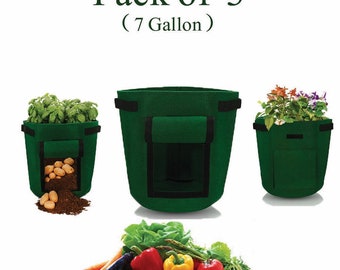 Potato Planter Tool Etsy