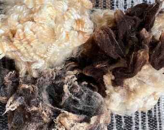 May include: Three distinct clusters of raw, unspun wool fibers. One cluster is a creamy off-white, another is a deep dark brown, and the third is a variegated mix of charcoal gray and light tan. The fibers appear curly, textured, and loose.