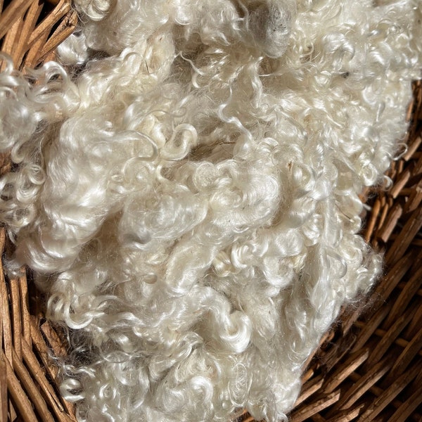 Kid grade Mohair Locks! White - Yearling Mohair Locks- Beautiful Silky Locks for Spinning, Weaving, Felting, dyeing and Fiber Arts