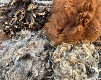 May include: Four distinct clusters of raw, unspun wool fibers arranged in a square formation. The top left is dark brown and black with tight curls, the top right is a solid reddish-brown, the bottom left is grey, and the bottom right is cream.