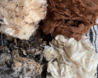 May include: Four distinct clumps of raw, unspun wool fibers arranged in a square formation. The collection includes one off-white clump with dark flecks, one solid reddish-brown clump, one dark charcoal gray clump, and one creamy white clump.