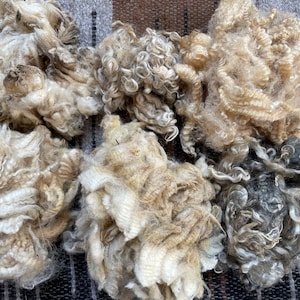 May include: Six distinct clusters of raw, unspun sheep wool arranged in a grid. The fibers vary in texture from tight, springy curls to loose, wavy locks, displaying a natural color palette of cream, beige, tan, and dark charcoal gray tones.