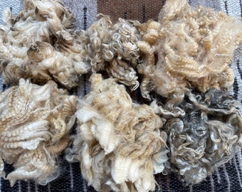 May include: Six distinct clusters of raw, unspun sheep wool arranged in a grid. The fibers vary in texture from tight, springy curls to loose, wavy locks, displaying a natural color palette of cream, beige, tan, and dark charcoal gray tones.