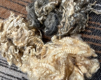 May include: Two distinct clusters of raw, unspun wool fibers. One cluster features a blend of dark charcoal, grey, and cream-colored curly locks, while the other cluster consists of light cream and beige-toned, tightly coiled, natural wool fibers.
