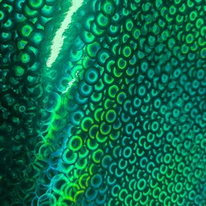May include: A close-up of a green iridescent fabric with a repeating pattern of overlapping circles. The circles have a dark green outer ring and a lighter green inner ring.