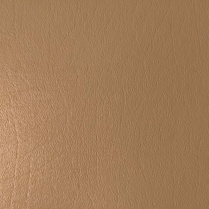 May include: A close-up of a textured, light brown surface.