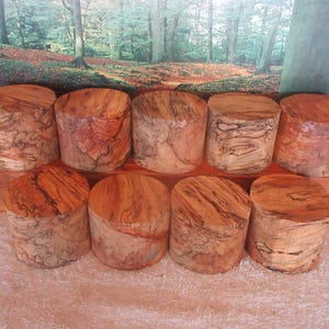Spalted Maple 4 x 3 Turning Wood bowls, mugs, small project blanks #08255692