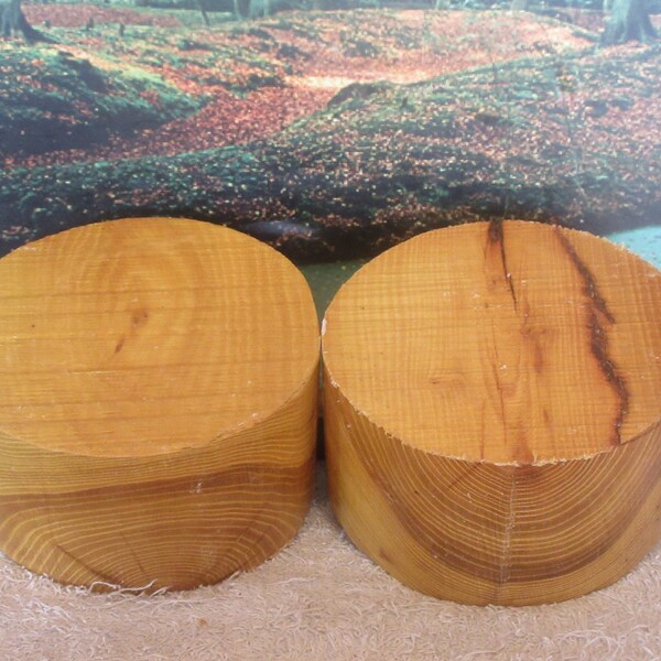Osage Orange 6 x 3 Turning Wood bowl, pequeños proyectos en blanco #07224206