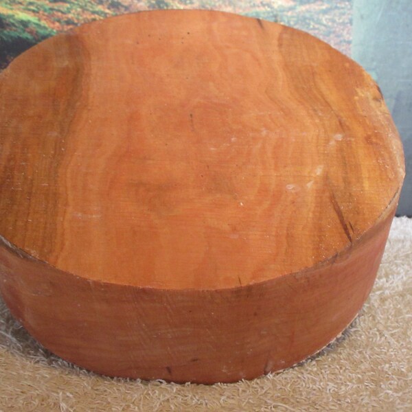 Bargain Blank Black Cherry 9 X 3 Turning Wood bowl, medium project blank #01245038