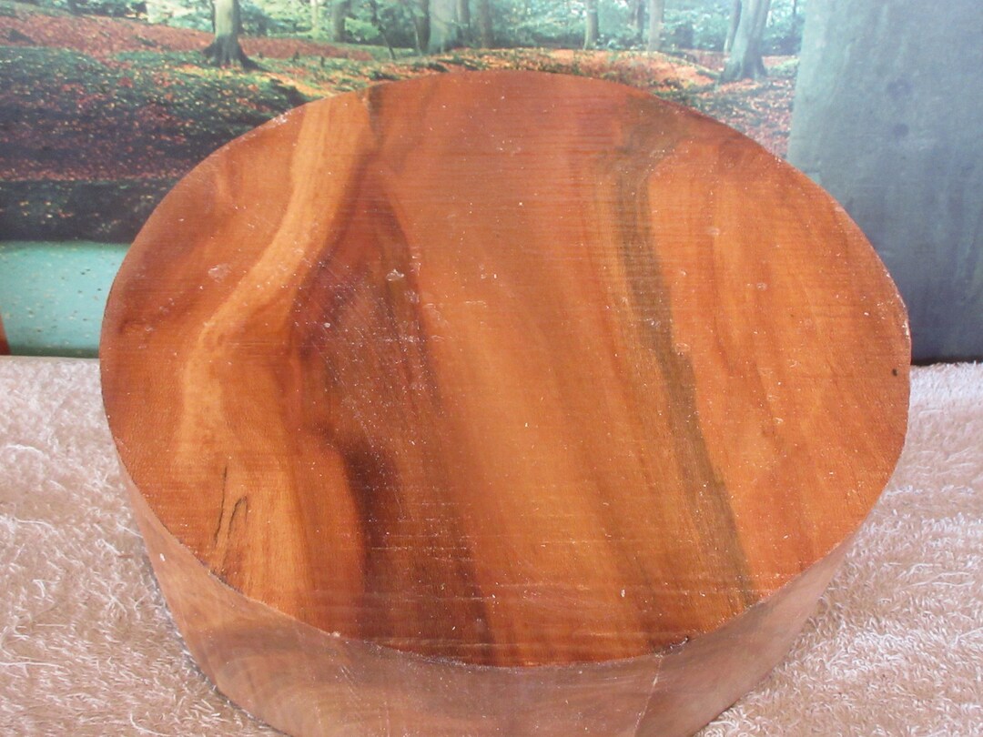Premium Spalted Red Sycamore 12 X 4 Turning Wood Deep Bowl, Xlarge