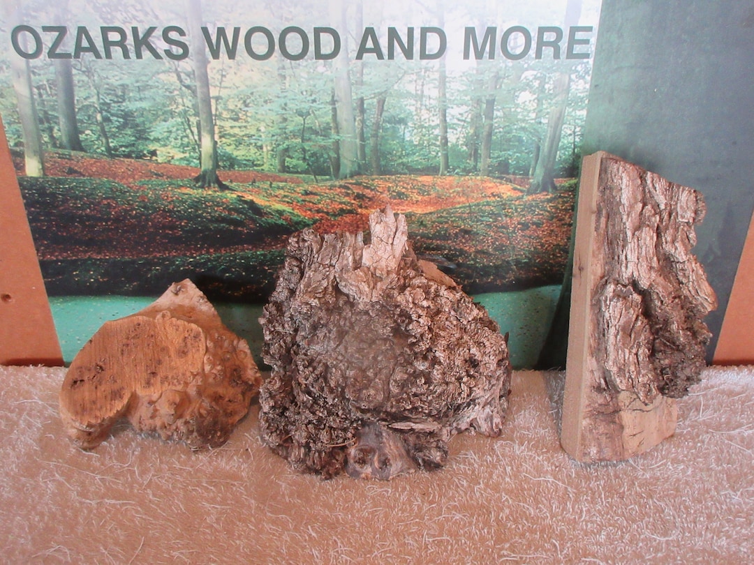 Siberian Red Elm Burls Turning Wood Small to Medium Project Blanks ...