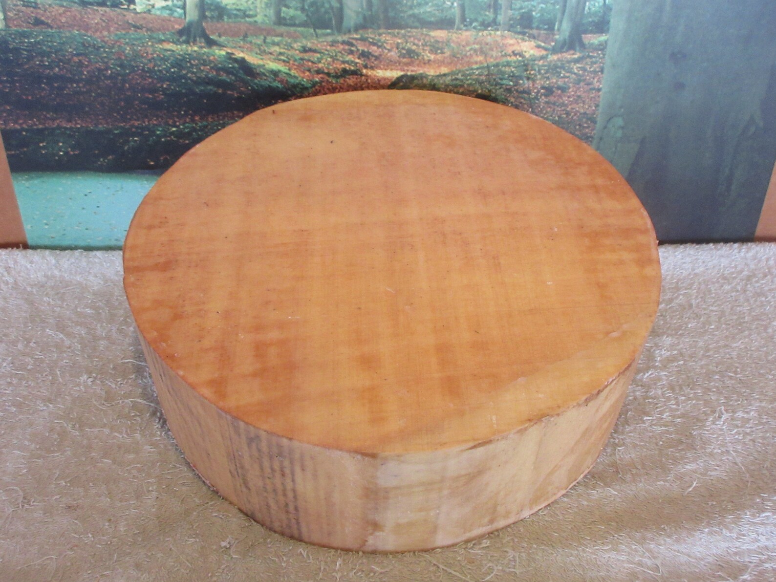 River Birch 12 x 4 Turning wood deep bowl Xlarge project Etsy