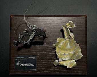 Piece of Burned Plane in Ukrainian War, Combat Plane Fuselage Piece, Skin SU 25 from Ukraine, Souvenir Plane Piece, Shot Down Plane Sukhoi