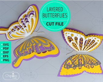 Beautiful Colourwing Butterfly 3d SVG File - Etsy