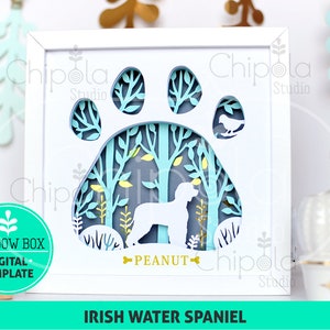 May include: A white shadow box with a blue paw print design. The paw print has a forest scene inside with a dog silhouette and the name "Peanut". The text "Irish Water Spaniel" is below the box.