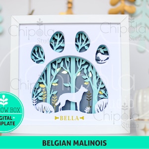 May include: A white shadow box with a blue and green paw print design. The paw print has a silhouette of a Belgian Malinois dog inside. The name "BELLA" is written below the dog. The text "BELGIAN MALINOIS" is written below the shadow box.