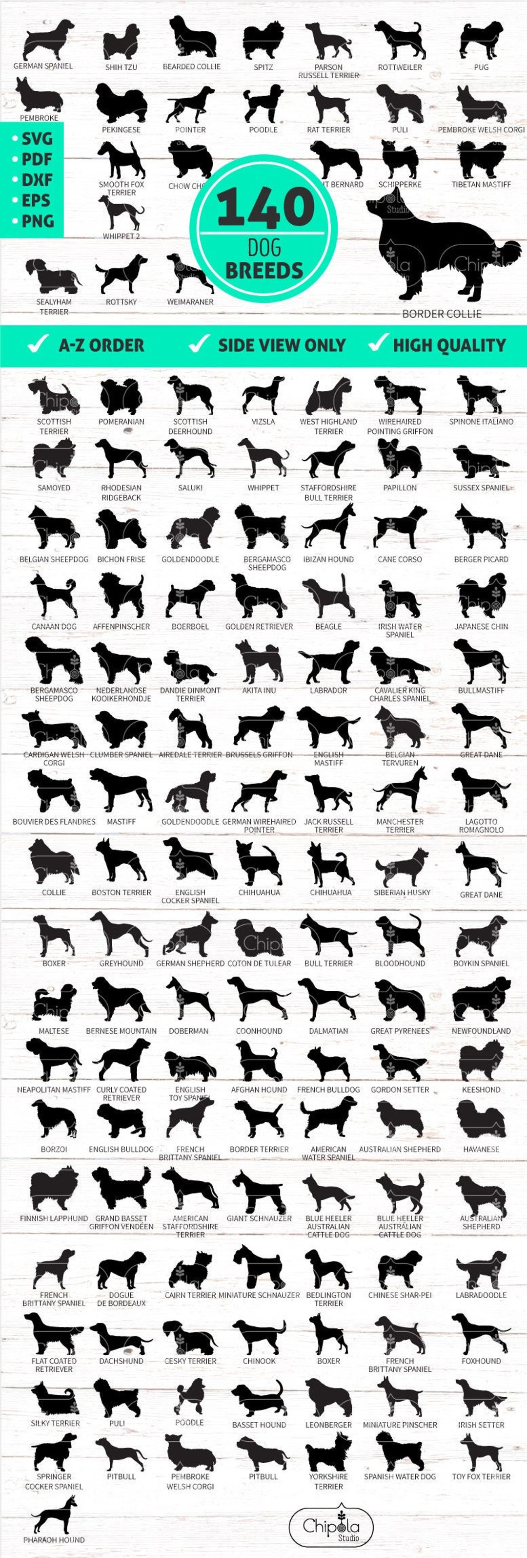 Dog Breeds Bundle SVG Set Vector Cut File, Dogs Papercut, Side View Cut ...