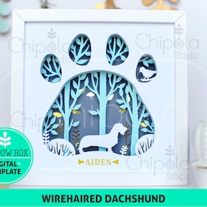 Könnte beinhalten: Eine weiße Schattenbox mit einem blauen Pfotenabdruck-Design. Der Pfotenabdruck hat eine blaue und goldene Waldszene im Inneren mit einer Drahthaar-Dackel-Silhouette. Der Name "AIDEN" ist in Gold unter dem Hund geschrieben. Der Text "WIREHAIRED DACHSHUND" ist unter der Schattenbox geschrieben.