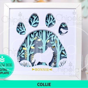 May include: A white shadow box with a blue paw print design. The paw print has a cutout of a Collie dog standing in a forest scene. The dog is white and the forest is blue and green. The text "BONNIE" is written in gold below the dog. The text "COLLIE" is written in teal at the bottom of the box.