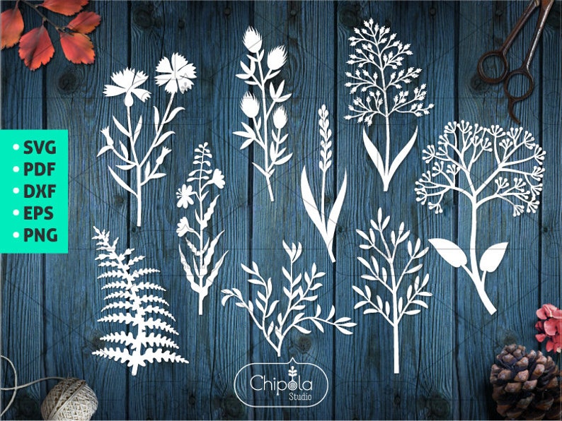 Download 9 Wildflowers bundle SVG cut file Flowers botanical Template | Etsy