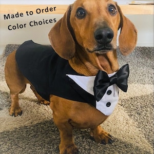 Small Dog Wedding Tuxedo, Split Tails, Leash D Ring, Ring Bearer, Classic Dog Wedding Suit, Choose Tuxedo and Bow Tie Colors, Add Ring Clip image 1