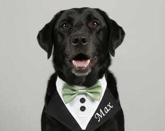 Personalisiertes Hochzeitshundehalstuch | Benutzerdefinierte Hund Hochzeits-Outfit | Auswahl der Farben