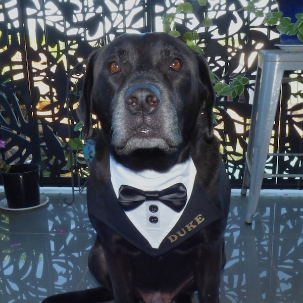 Bandana de mariage pour smoking pour chien avec le nom de votre chien, avec collier noir réglable, laisse en corde noire en option, couleur du smoking et du nœud papillon au choix