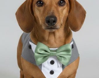 Wedding Dog Tuxedo, Dog Ringbearer, Custom made, Leash D-Ring, Colour Choices, XS to XL