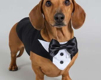 Elegant Dog Wedding Tuxedo Suit, Ringbearer, Custom made to measure, Leash attachment, Colour Choices