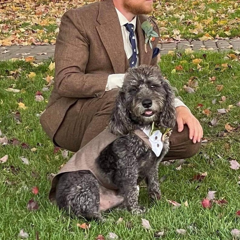 Dog Wedding Tuxedo Suit with Snap-On Bandana | Custom Made to Measure | All Dog Sizes image 4