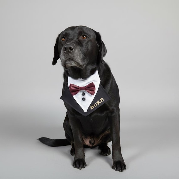 Dog Wedding Tuxedo Bandana, Satin Bow Tie, Slides over Collar, Colour Choices