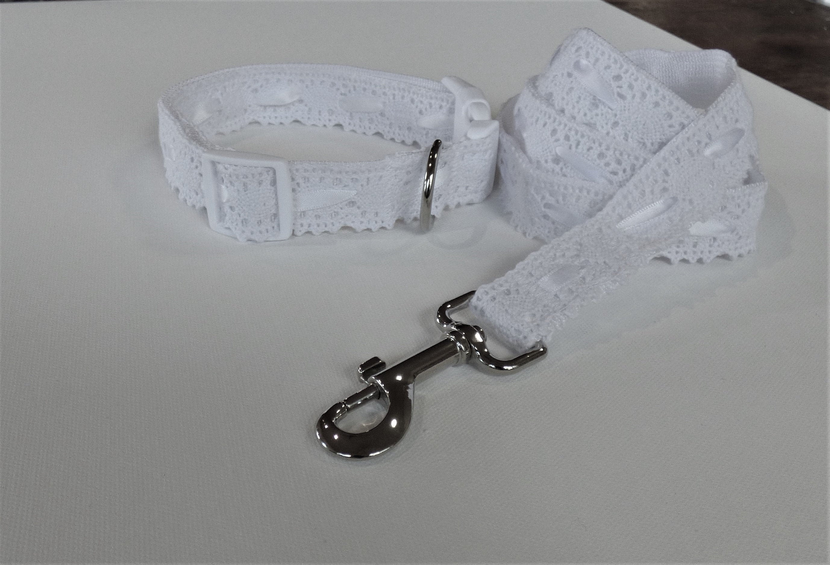 hamster keeps escaping