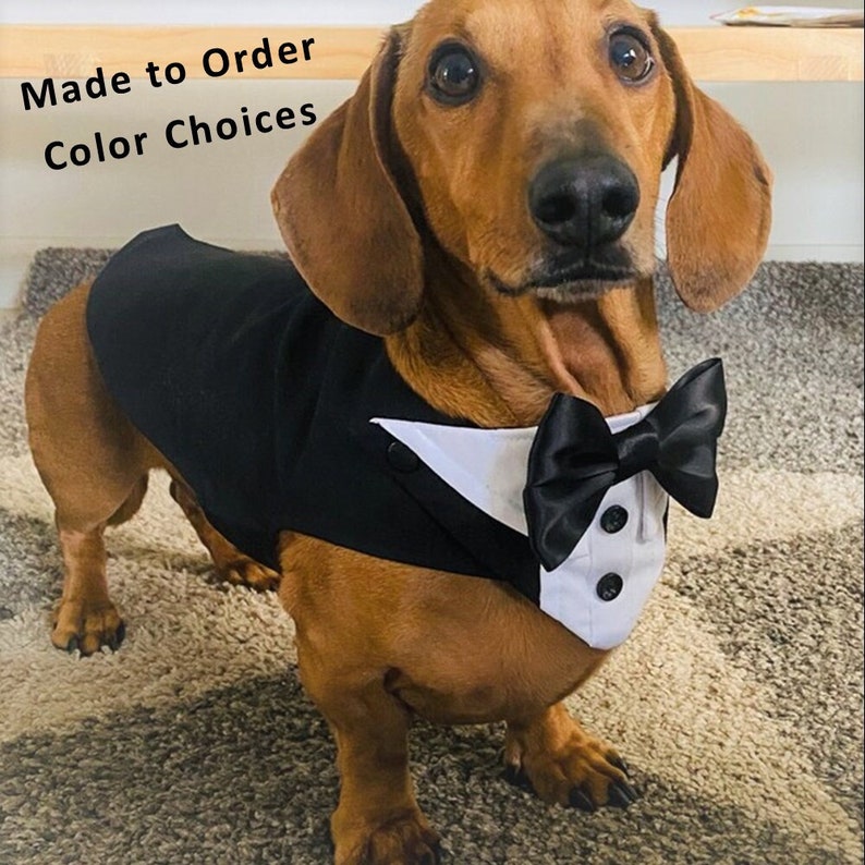 Small Dog Wedding Tuxedo, Split Tails, Leash D Ring, Ring Bearer, Classic Dog Wedding Suit, Choose Tuxedo and Bow Tie Colors, Add Ring Clip image 1