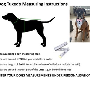 May include: Dog tuxedo measuring instructions with a black silhouette of a dog, a white measuring tape, and a photo of a boxer dog wearing a grey tuxedo with a pink bow tie. Text includes instructions for neck, back, and chest measurements.