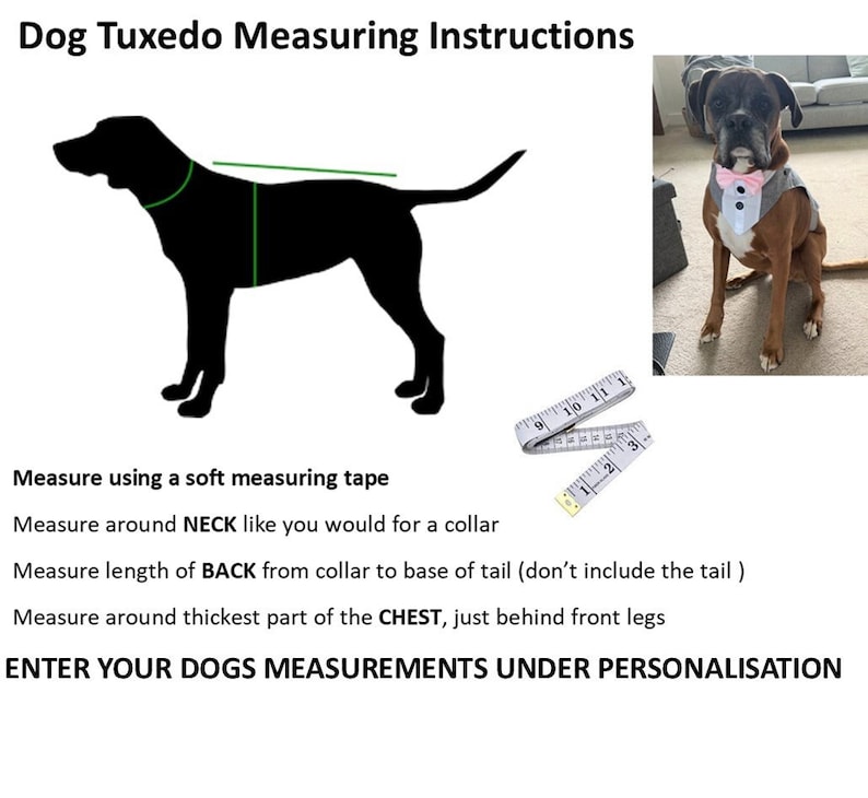 May include: Dog tuxedo measuring instructions with a black silhouette of a dog, a white measuring tape, and a photo of a boxer dog wearing a grey tuxedo with a pink bow tie. Text includes instructions for neck, back, and chest measurements.