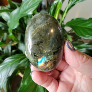Labradorite Palm Stone With Gold and Blue Flash, Crystal Palm Stone, Polished Labradorite Crystal LP4