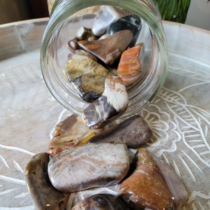 Petrified Wood Tumbled Stones, Petrified Wood Pocket Crystals for Grids, Petrified Wood Tumbles, Fossilized Wood Pocket Stones