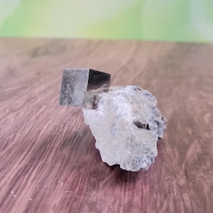 May include: A cubic pyrite crystal, with a metallic sheen, is affixed to a rough, gray rock. The pyrite's surface reflects light, contrasting with the textured rock. The background is blurred, focusing attention on the mineral specimen.