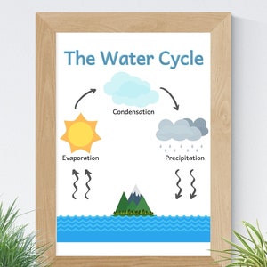 The water cycle digital printable size 8.5x11 for classroom, Homeschool, kindergarten, montessori, preschool