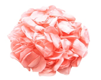 Salmon rose petals for wedding confetti / decoration. Preserved rose petals, biodegradable