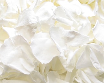 Petali di rosa bianca: coriandoli biodegradabili per matrimoni, grandi fiori conservati