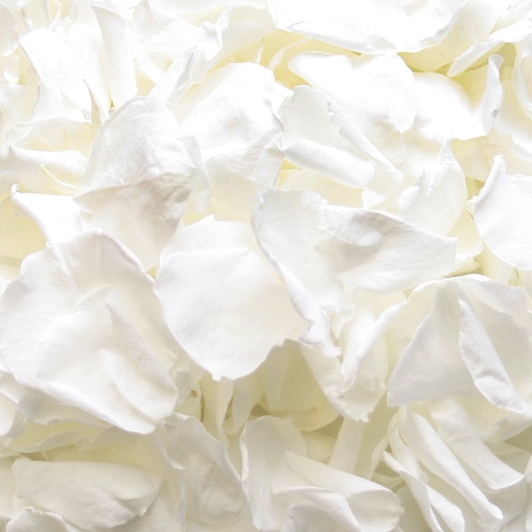 White rose petals for wedding confetti / decoration. Preserved rose petals, biodegradable Large size