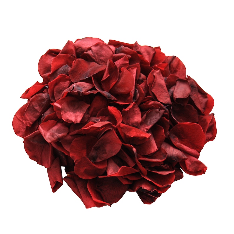 May include: A cluster of deep red rose petals, ideal for crafting or decorating.