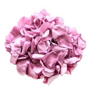 Lilac Preserved Rose Petals: Biodegradable Wedding Confetti