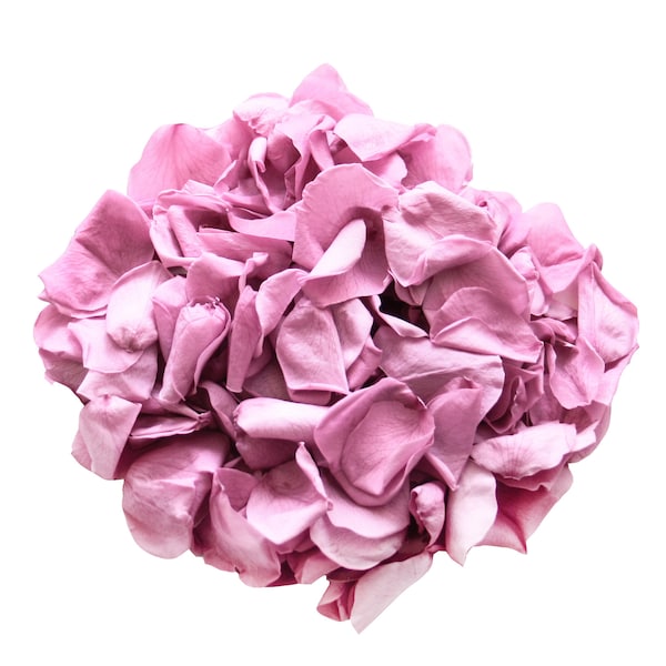 Lavender rose petals for wedding confetti / decoration. Preserved rose petals, biodegradable